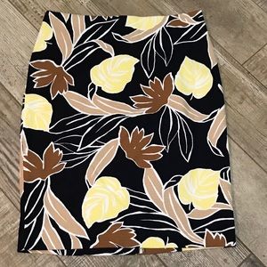 Ann Taylor Pencil Skirt